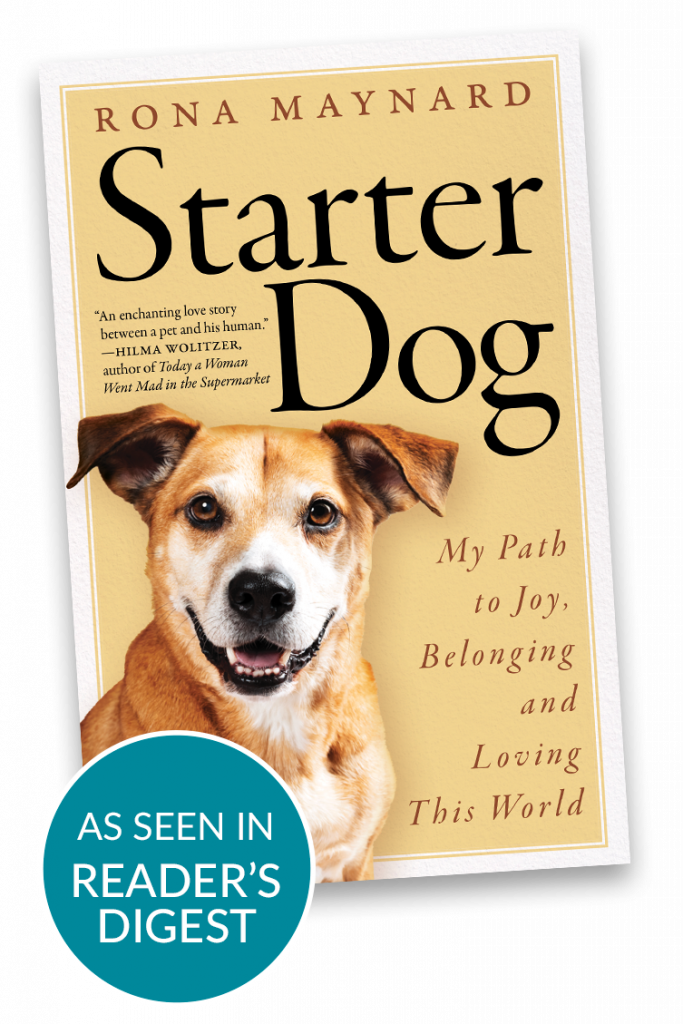 Starter Dog Rona Maynard Starter Dog Rona Maynard